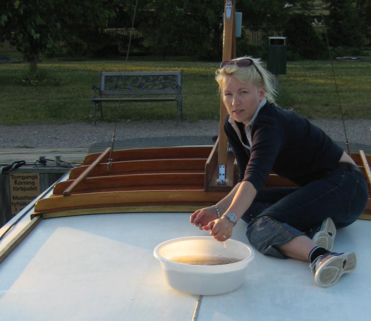 [Cleaning the roof...]