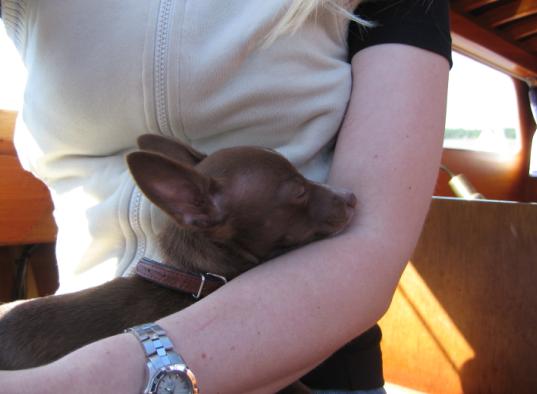 [Passengers feel sleepy]