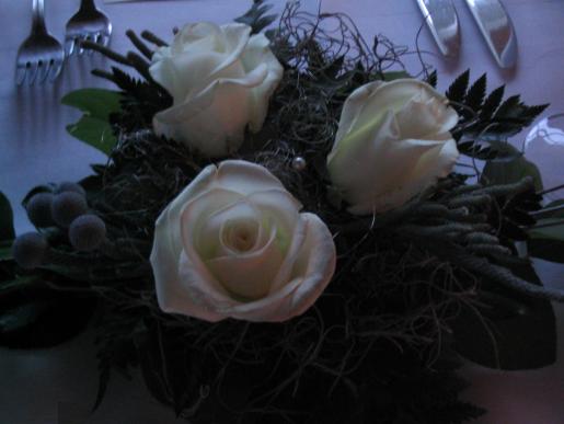 [Maailmanluokan upeat kukat Johannalta]