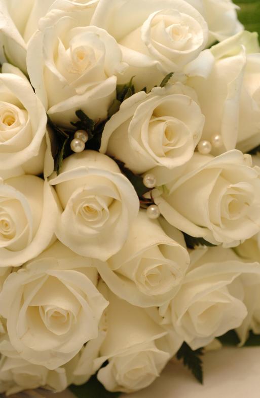 [H��pari saapuu]