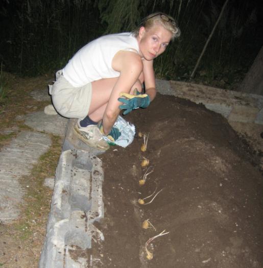 [Perunamaa y�ll� juuri ennen Ru�ttin lomaa 2005]