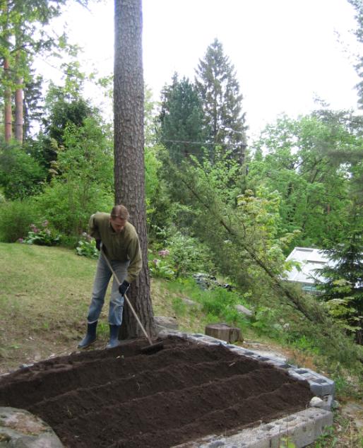 [Perunoiden istutus kev��ll� 2006]