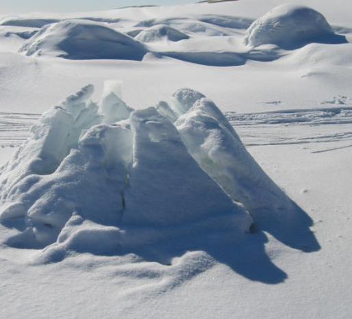 [J��kiteet kev�tauringossa 2005]