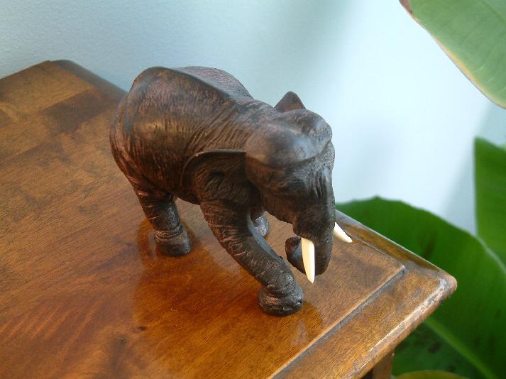 [Souvenir]
