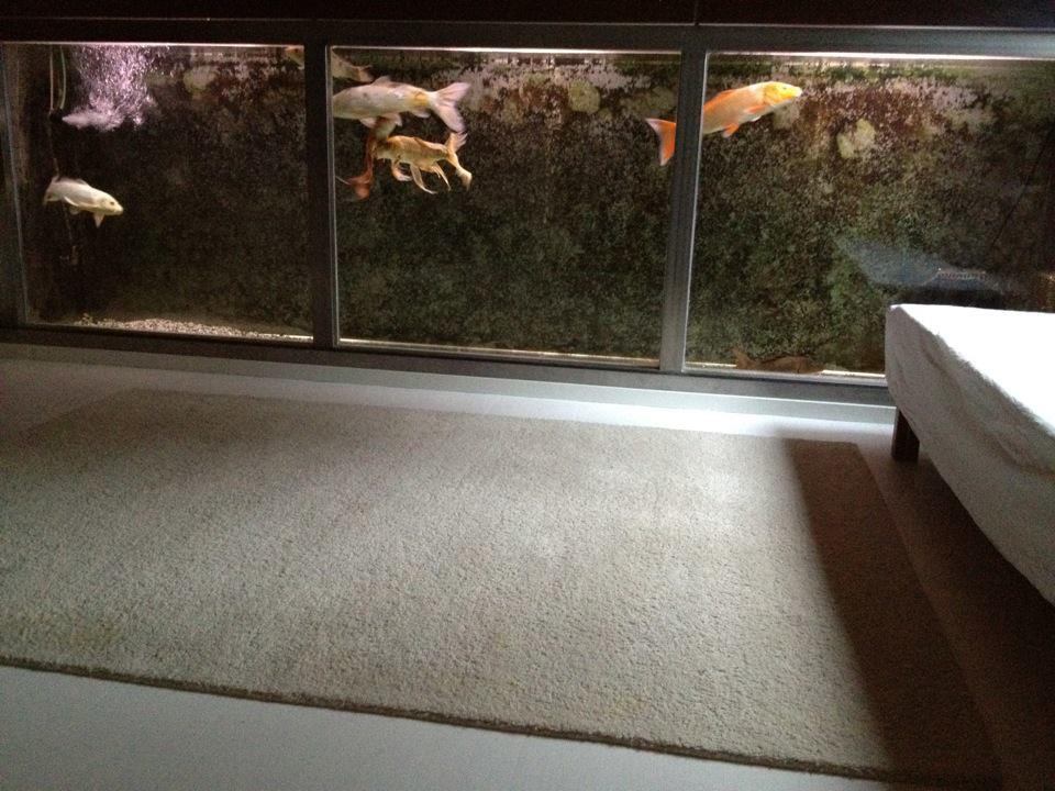 [Koiquarium in 2011]