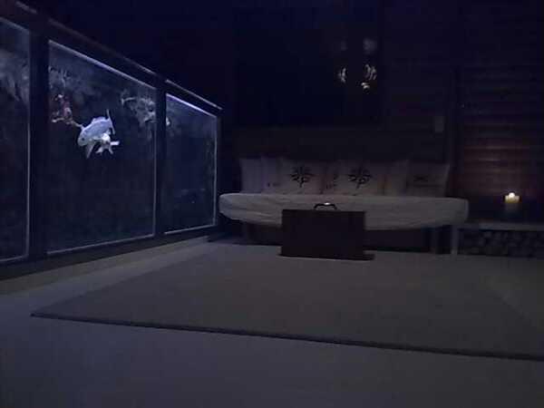 [Koiquarium in 2011]