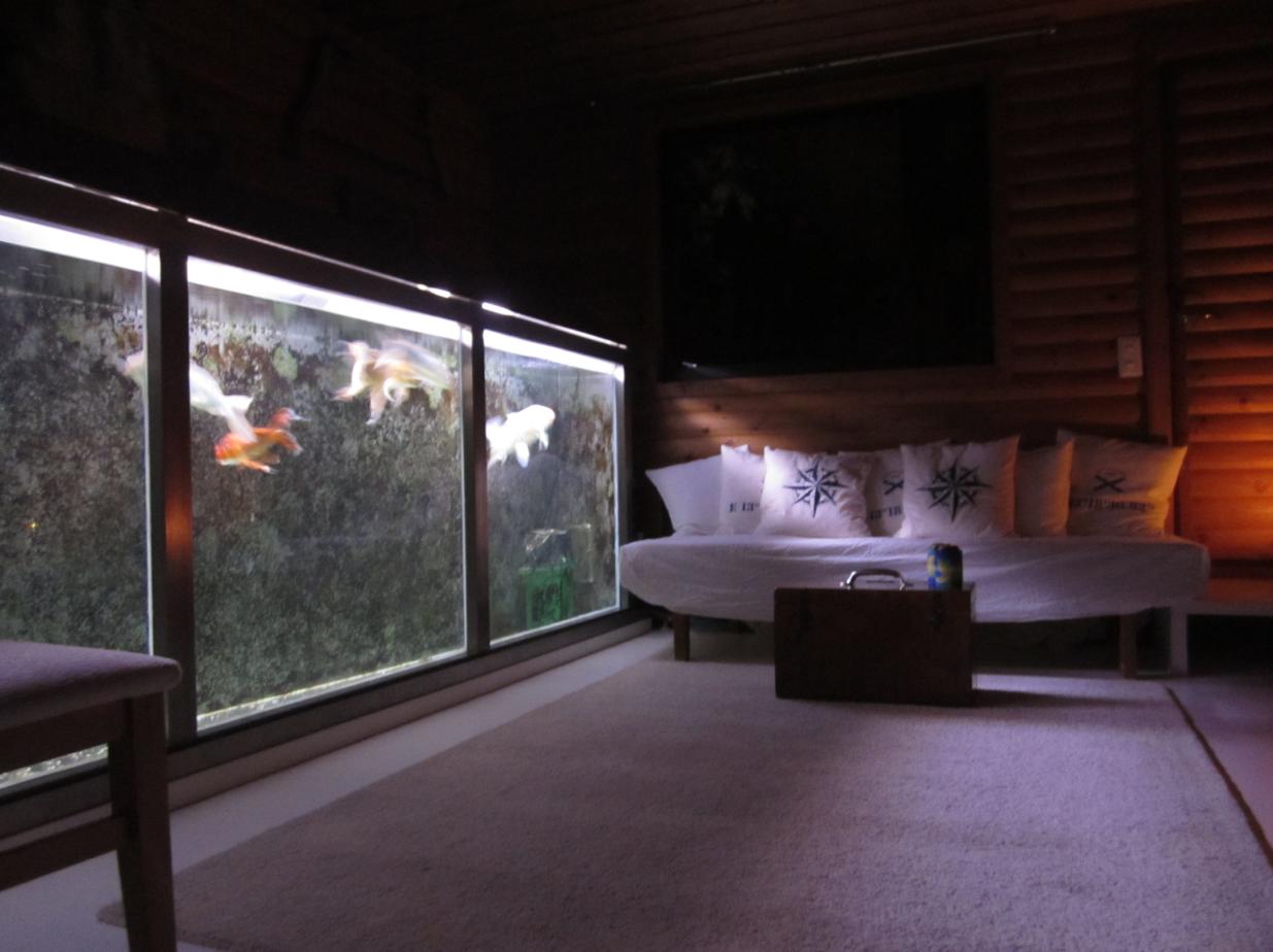 [Koiquarium in 2011]