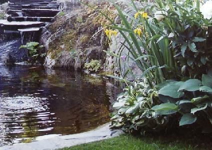 [Garden]